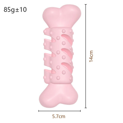 Dog chewing bone