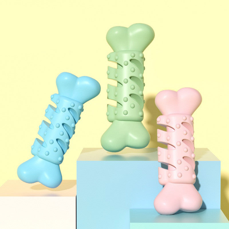 Dog chewing bone
